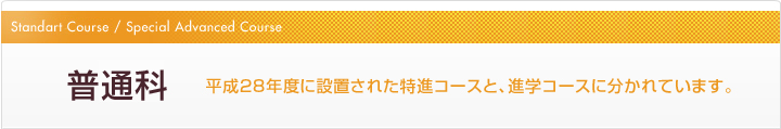 普通科 平成28年度に設置された特進コースと、進学コースに分かれています。