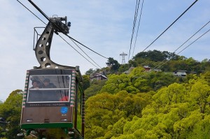 1蟷ｴ逕滄□雜ｳ縲蟆ｾ驕・DSC_8695